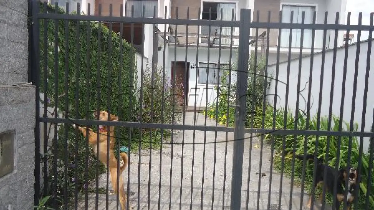 LOTE 376 - SC / JOINVILLE / CASA