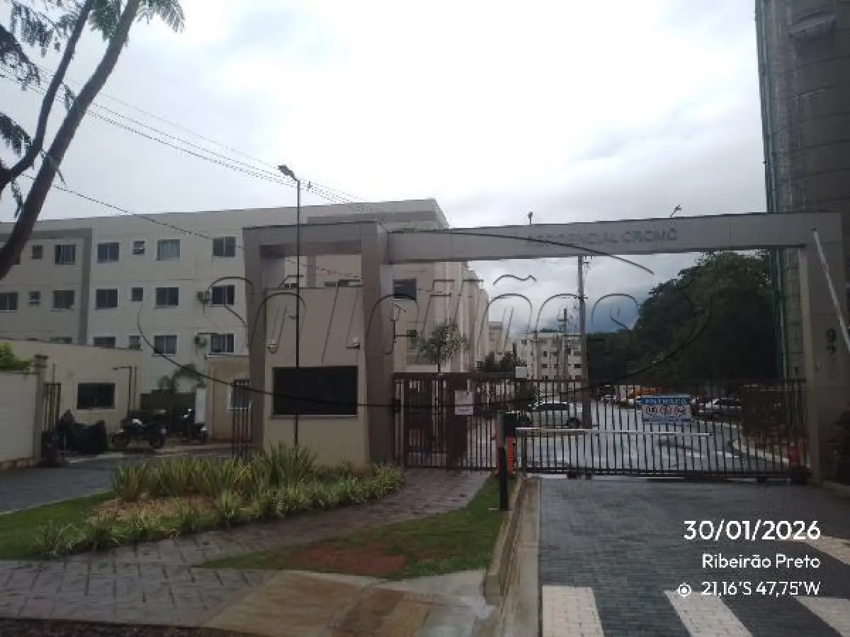 LOTE 464 - SP / RIBEIRÃO PRETO / APARTAMENTO