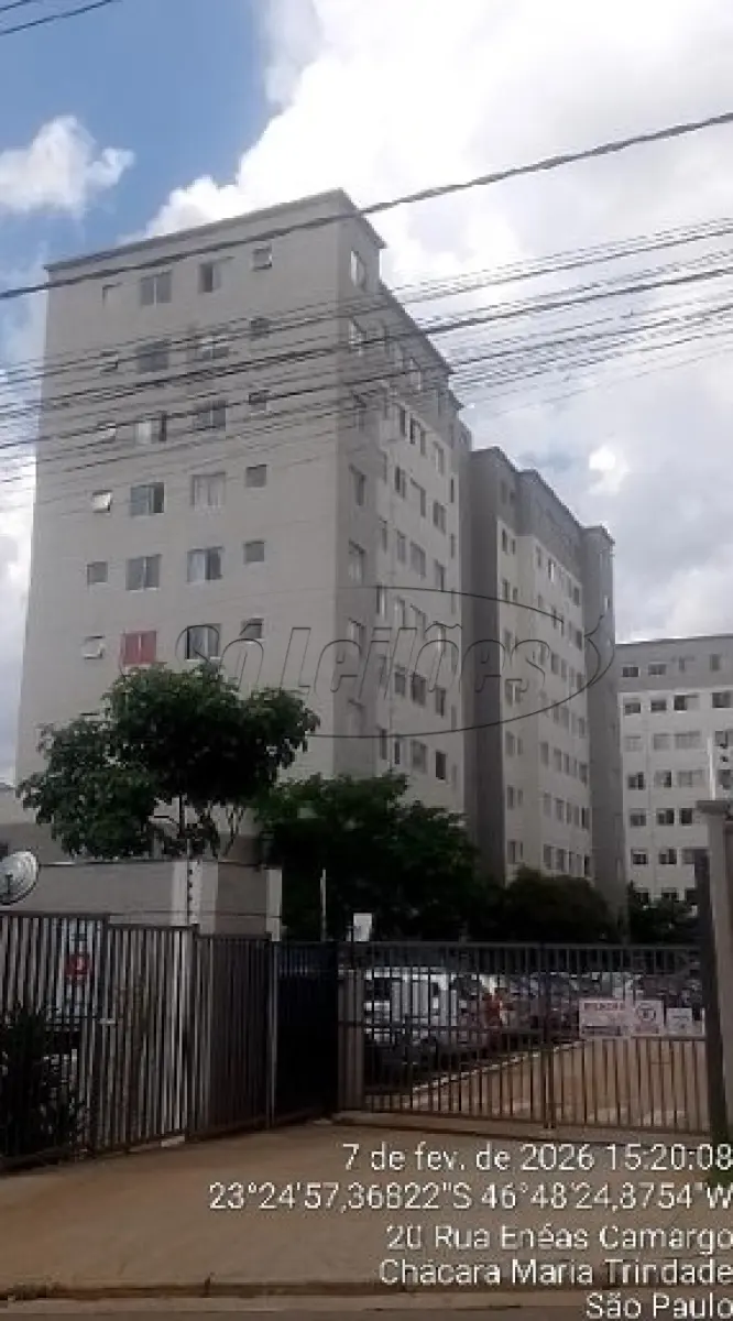 LOTE 487 - SP / SÃO PAULO / APARTAMENTO