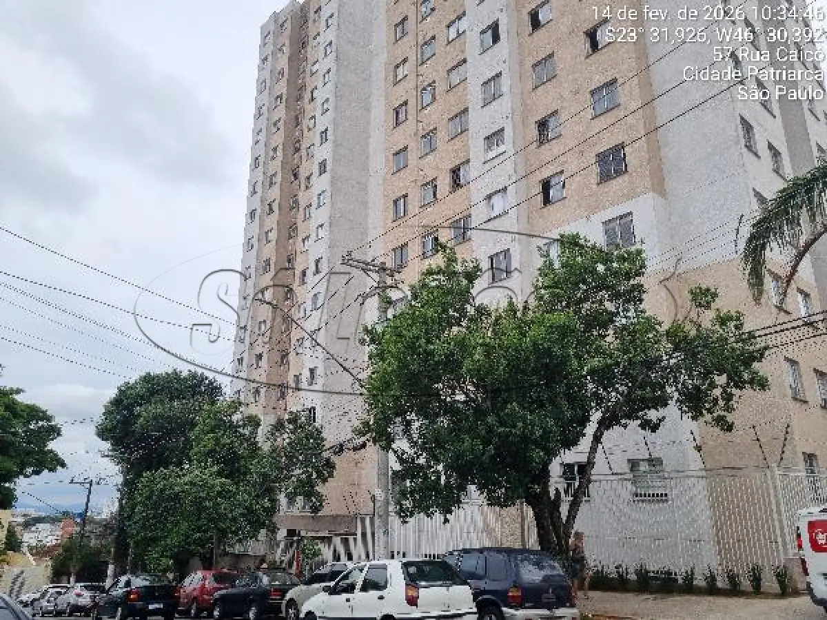 LOTE 488 - SP / SÃO PAULO / APARTAMENTO