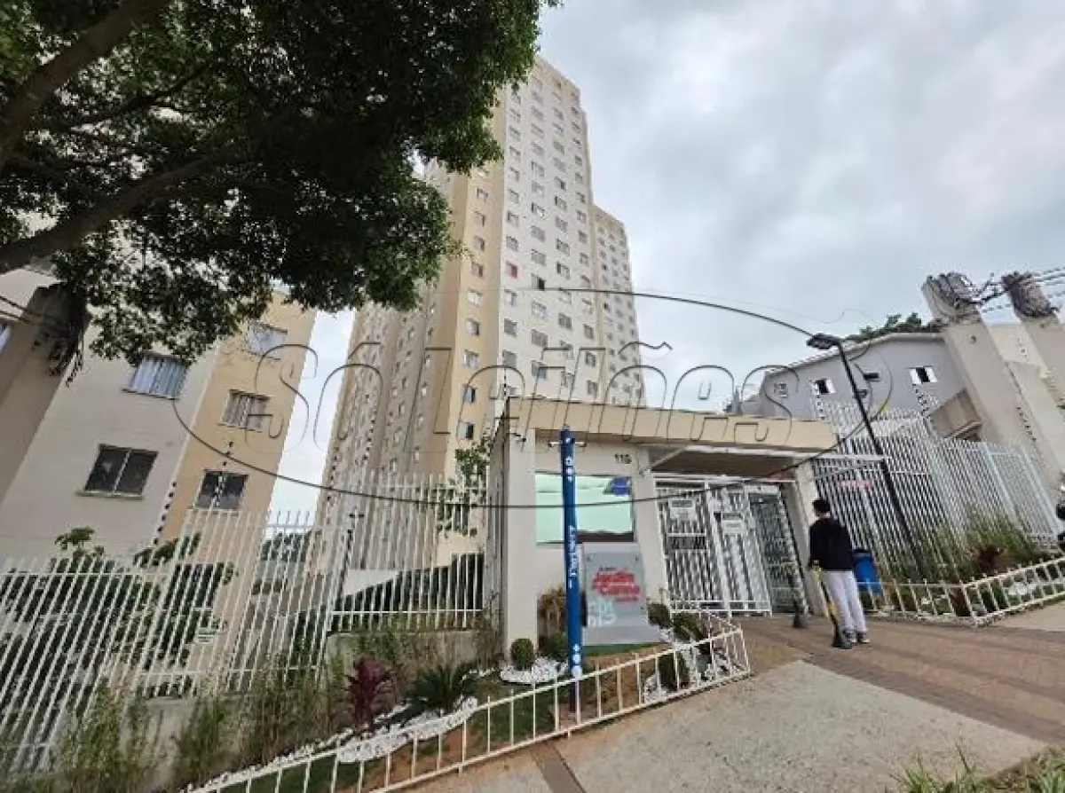 LOTE 491 - SP / SÃO PAULO / APARTAMENTO