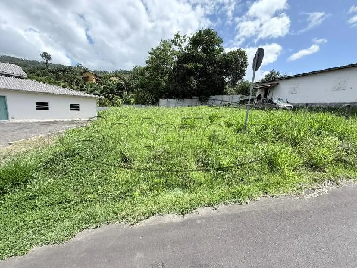 LOTE 373 - SC / CRICIUMA / TERRENO
