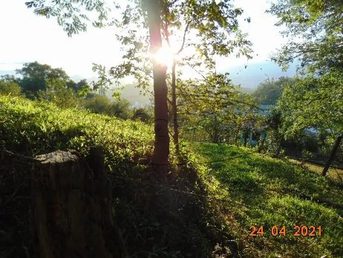 LOTE 006 - TERRENO URBANO NOVA VENEZA/SC
