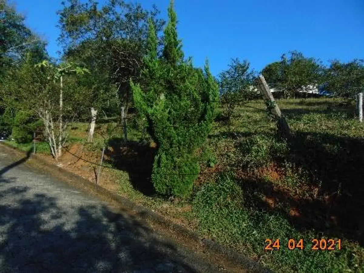 LOTE 006 - TERRENO URBANO NOVA VENEZA/SC
