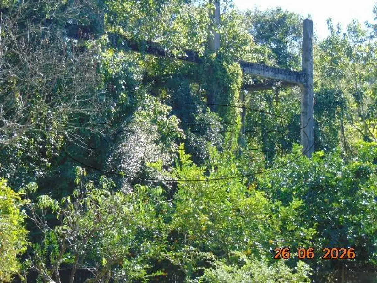 LOTE 007 - TERRENO URBANO SIDERÓPOLIS/SC