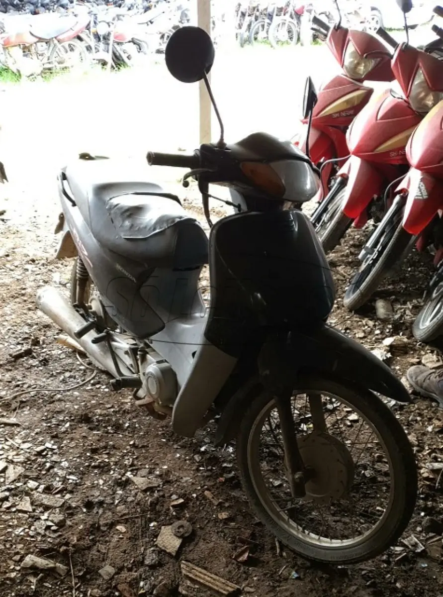 LOTE 29100
