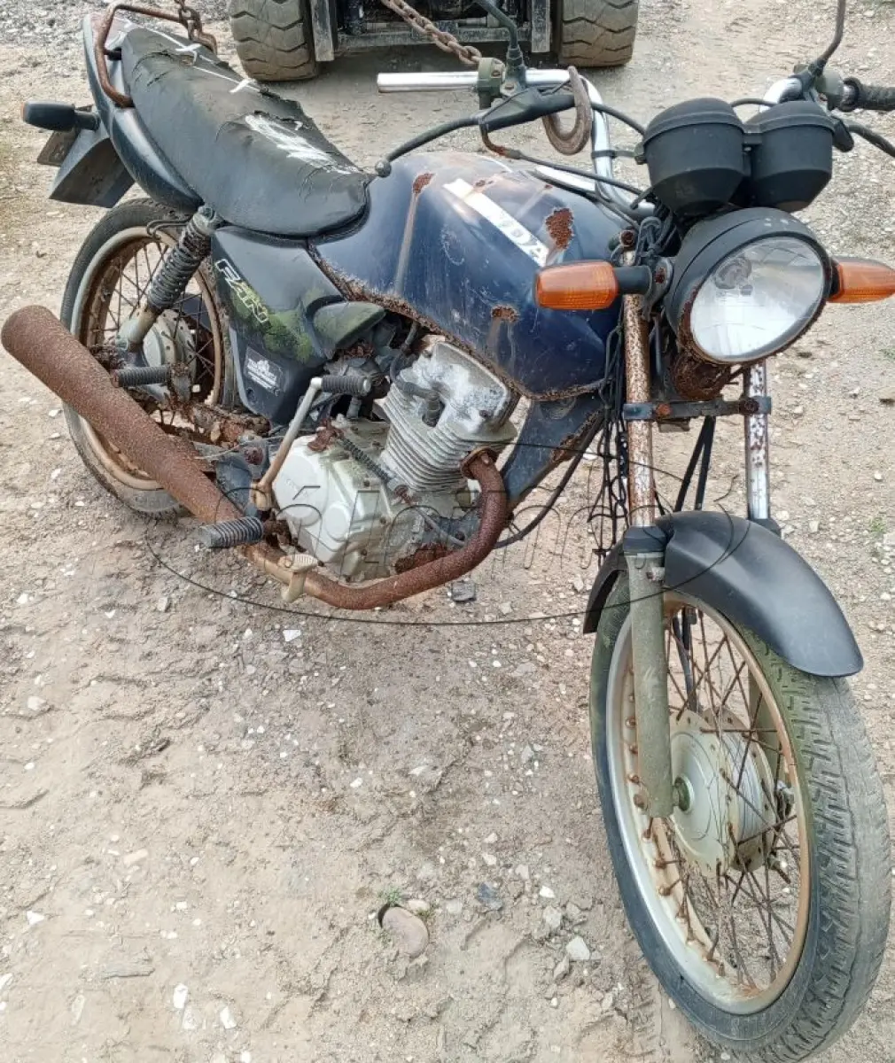 LOTE 29209