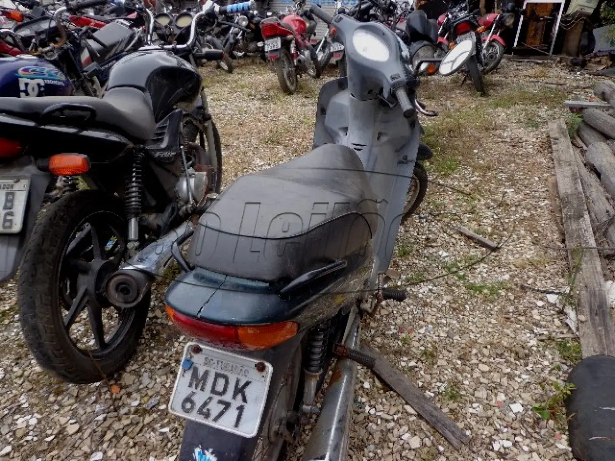 LOTE 29203