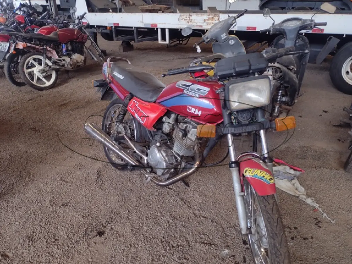 LOTE 29075