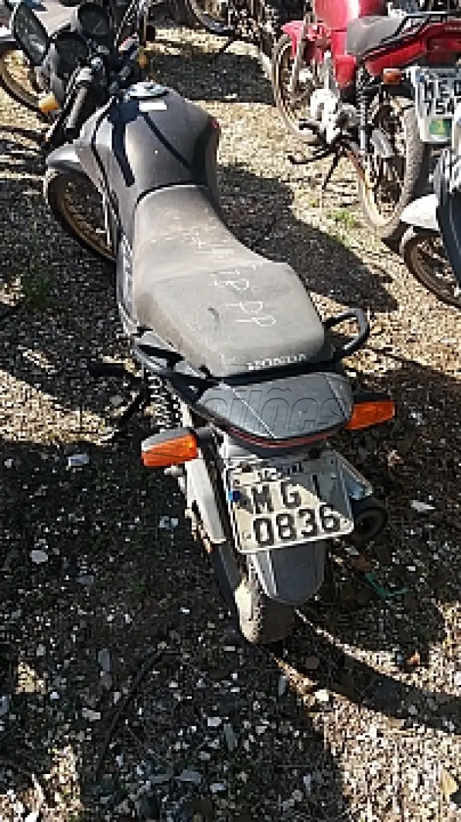 LOTE 29098