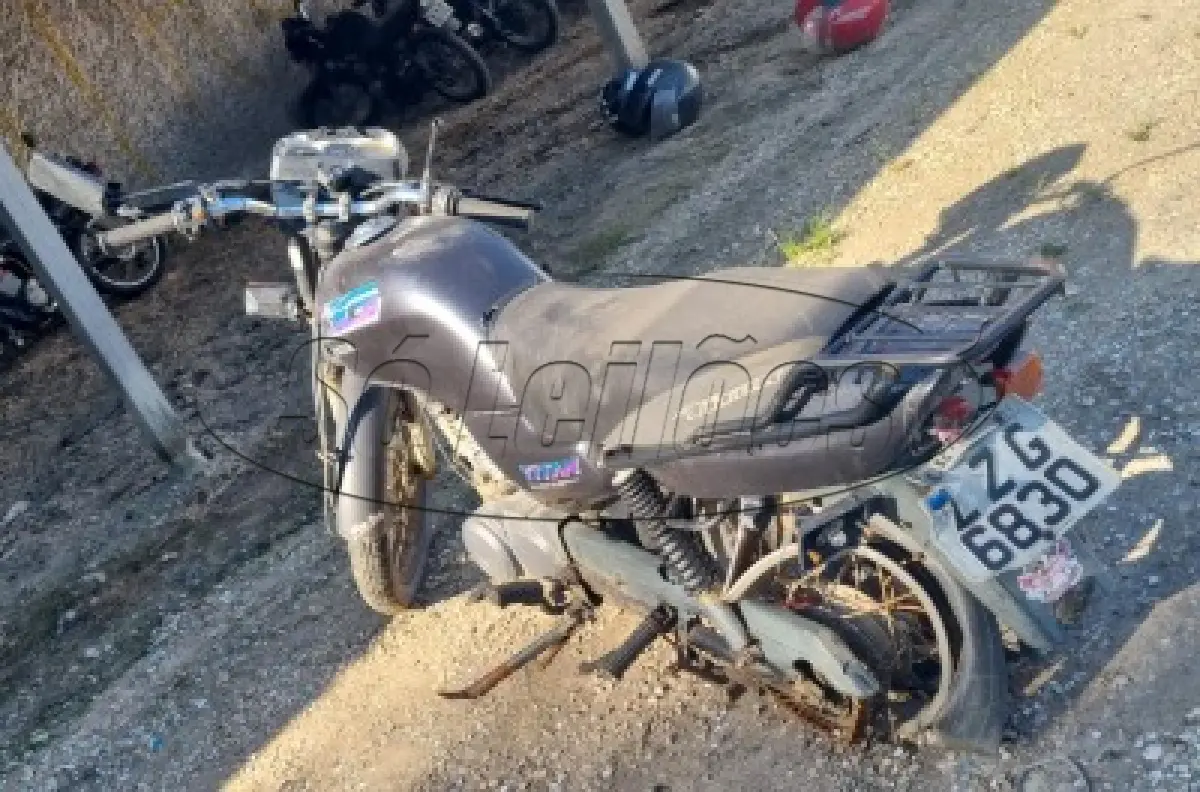 LOTE 29197
