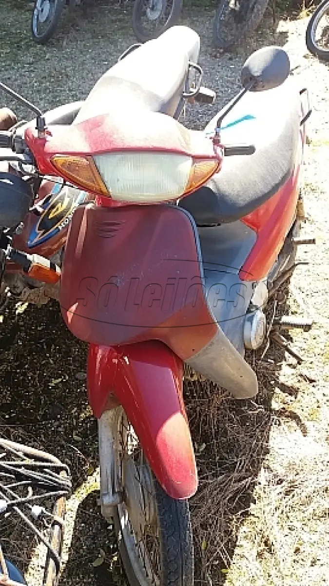 LOTE 29104