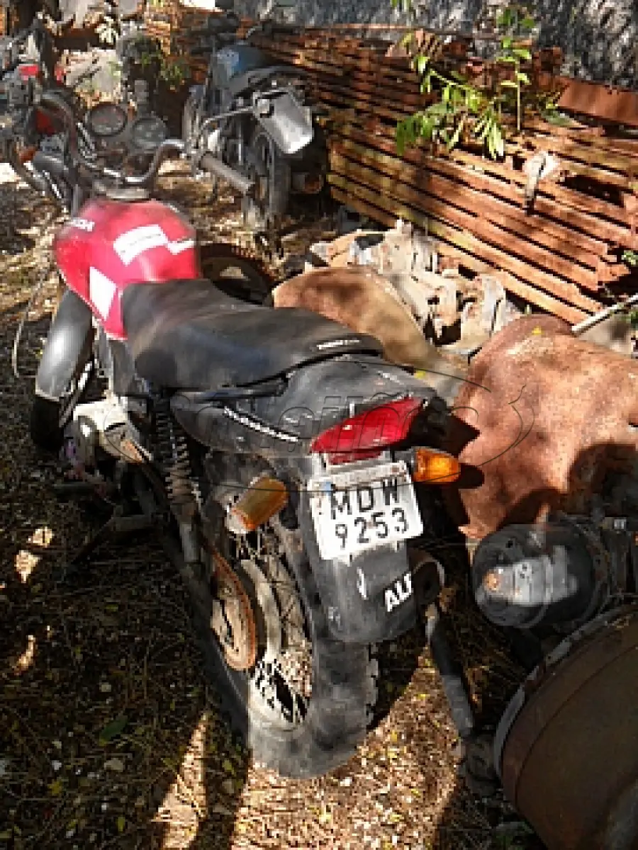 LOTE 29171