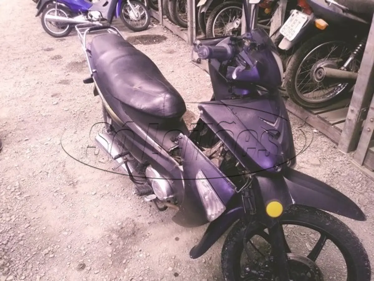 LOTE 29126