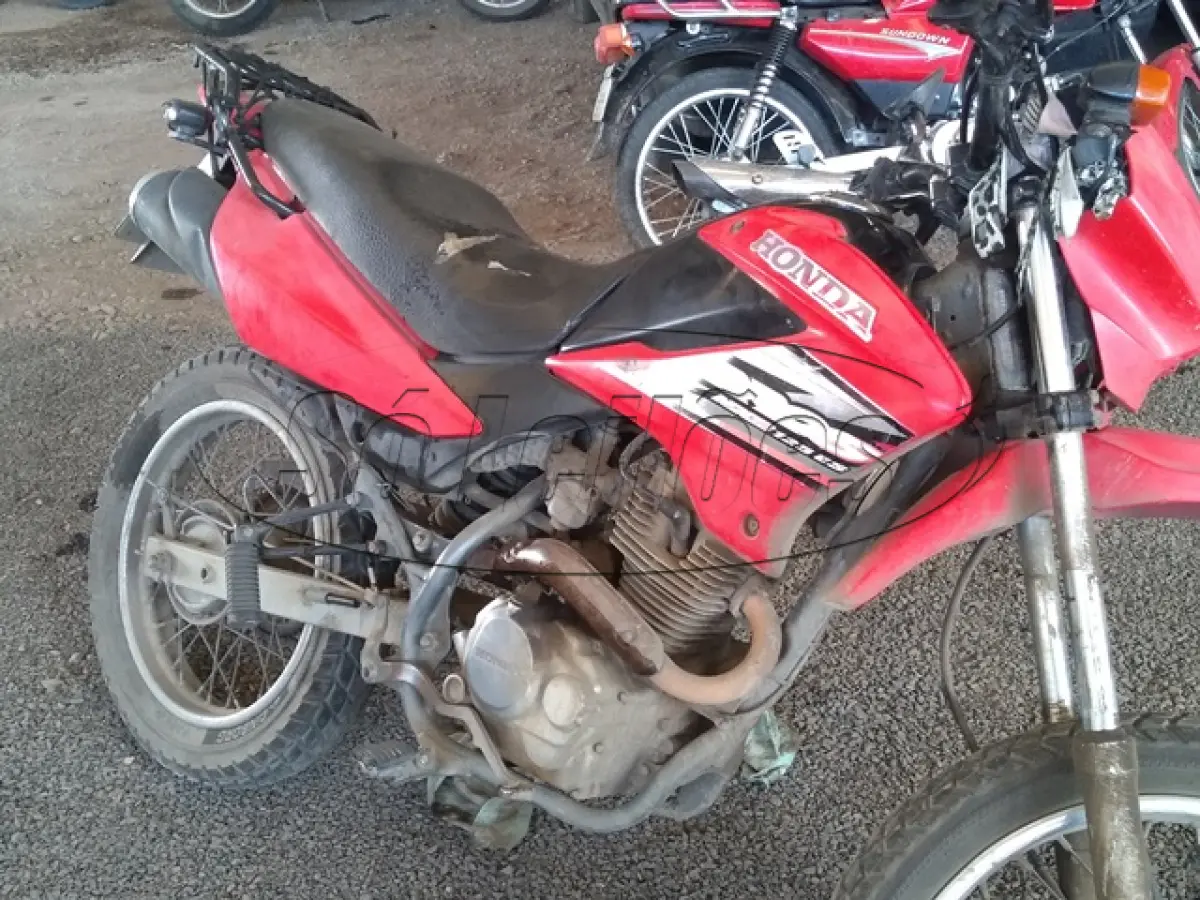 LOTE 29090