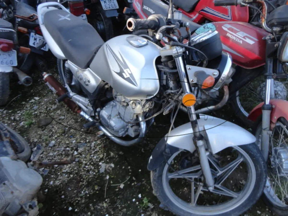 LOTE 29194