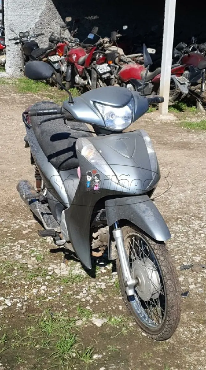 LOTE 29092