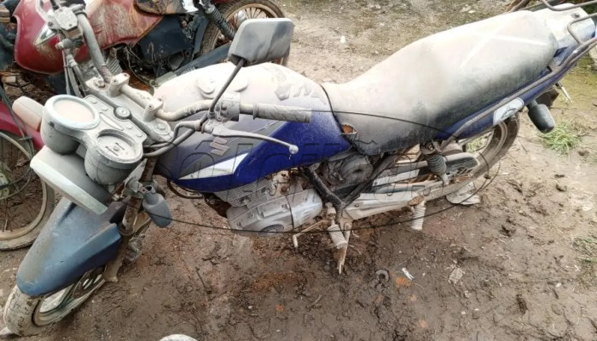 LOTE 29172