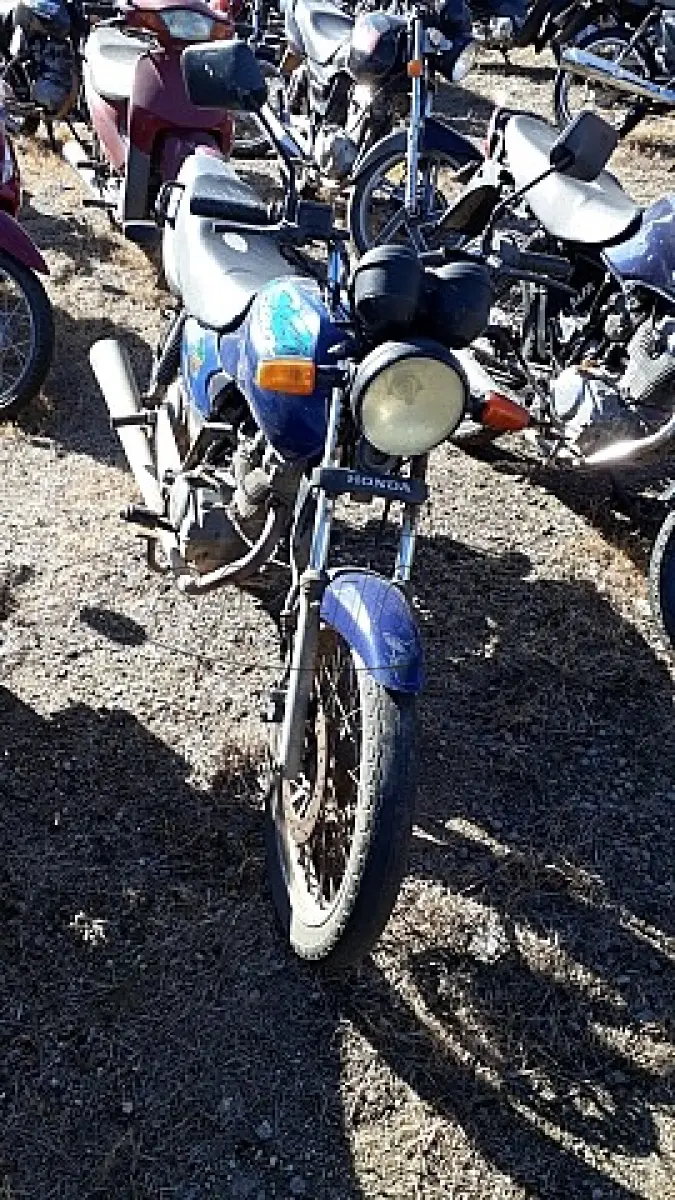 LOTE 29181