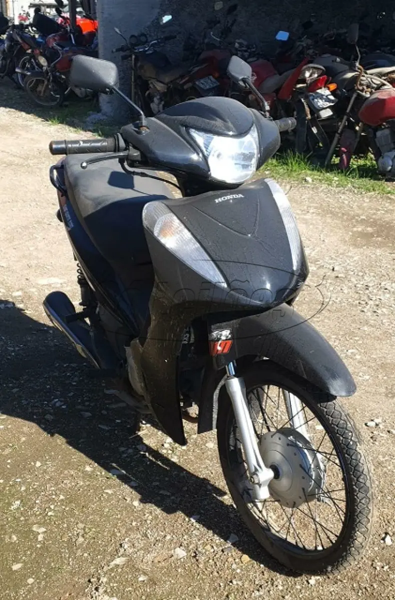 LOTE 29108