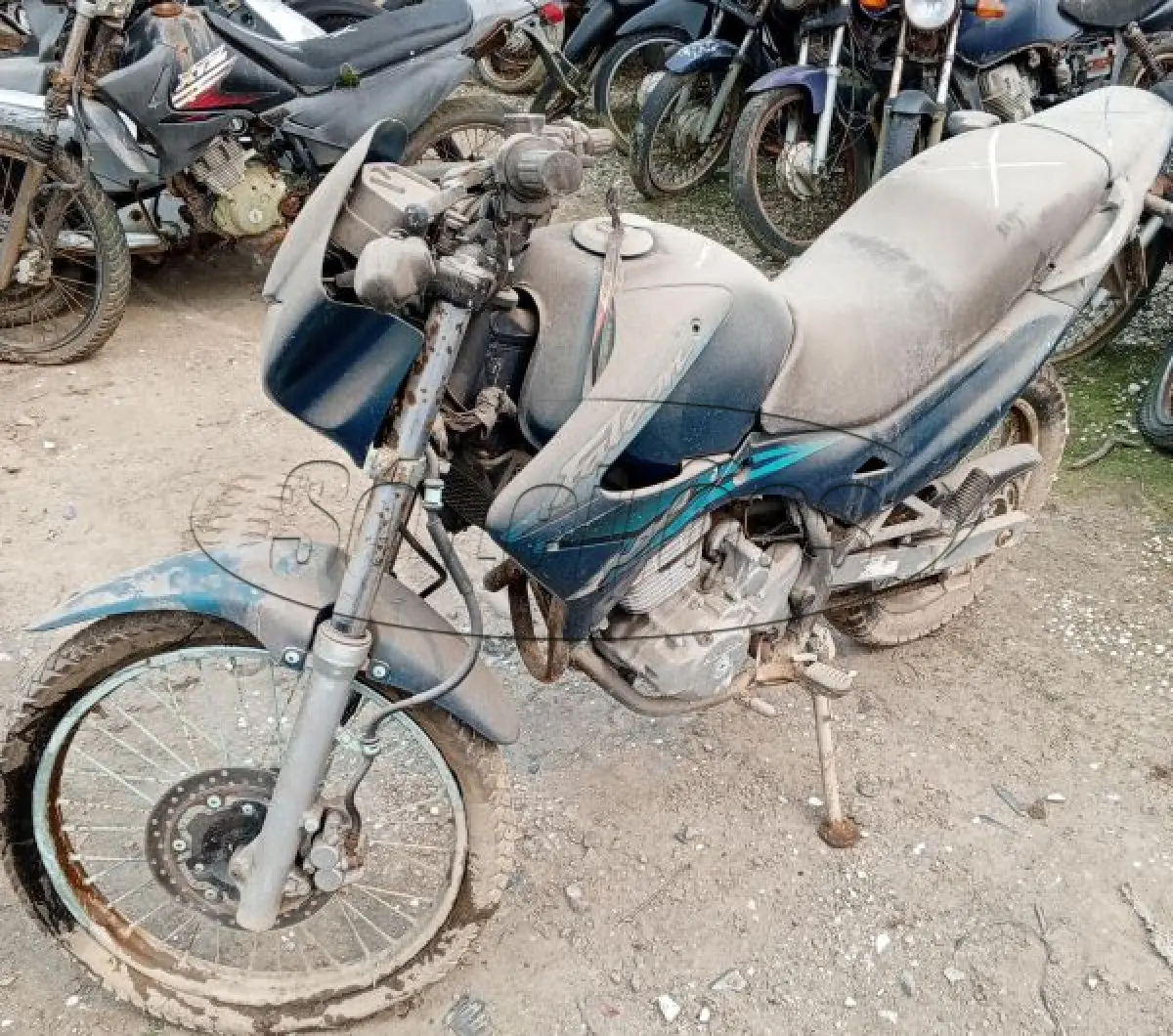 LOTE 29099