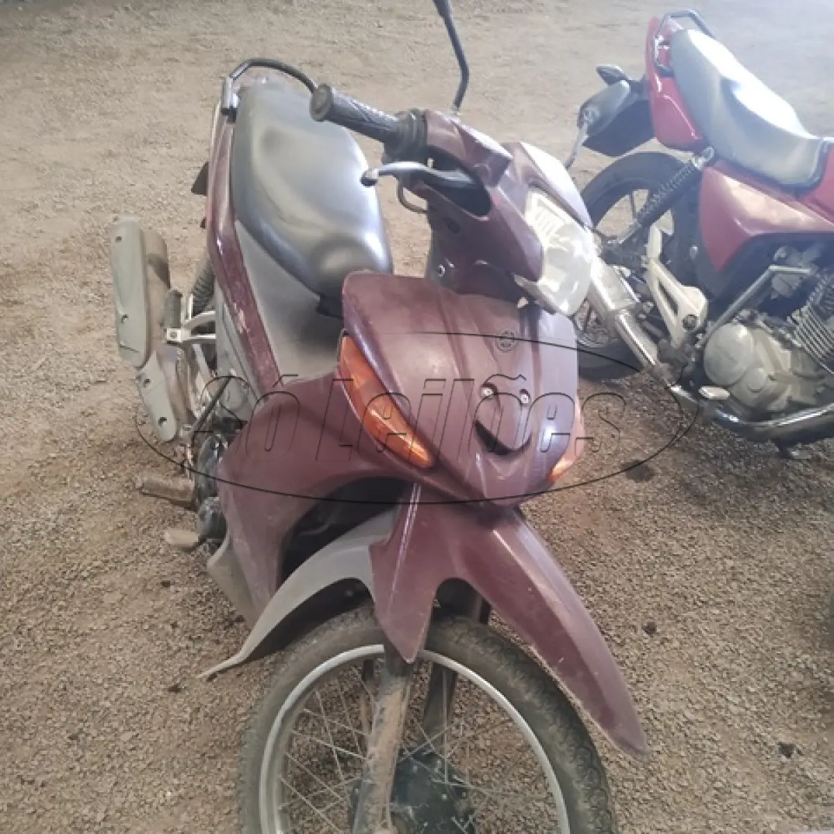 LOTE 29077