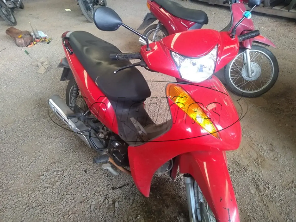 LOTE 29088