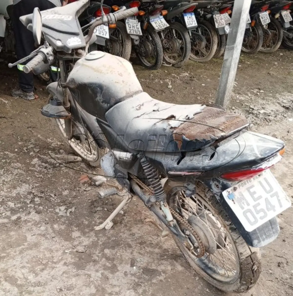 LOTE 29212
