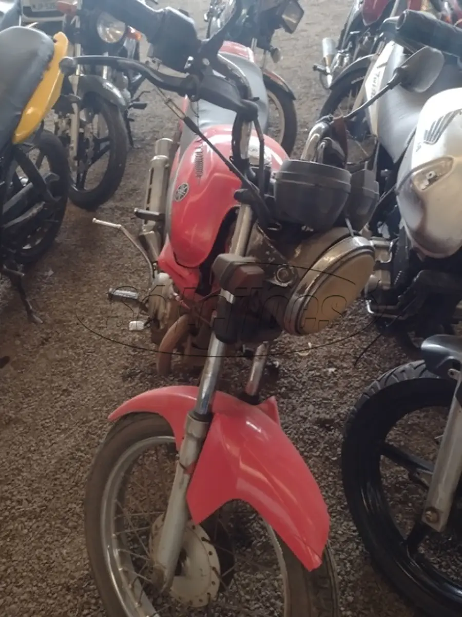 LOTE 29083