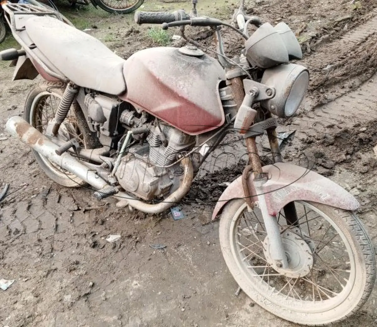 LOTE 29096