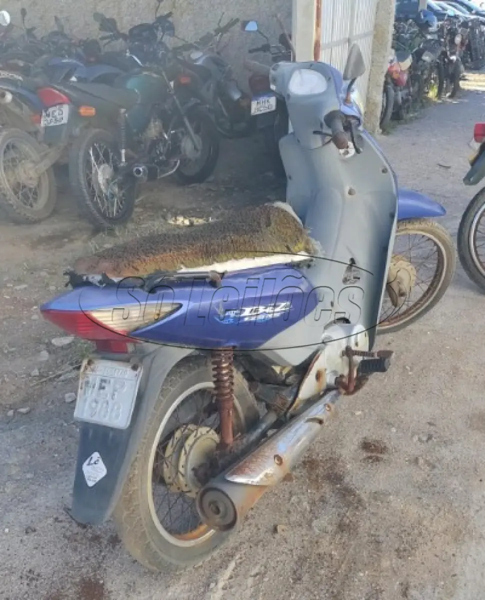 LOTE 29173