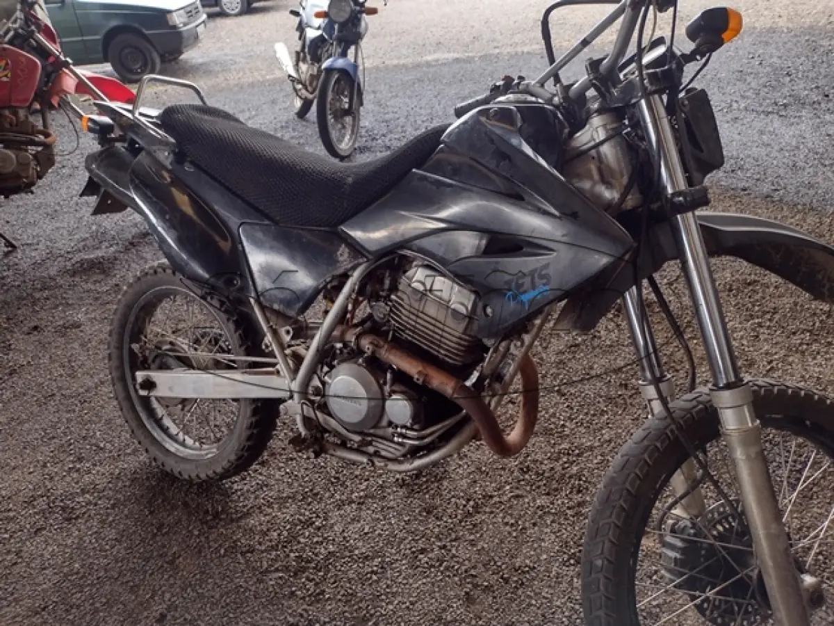 LOTE 29081