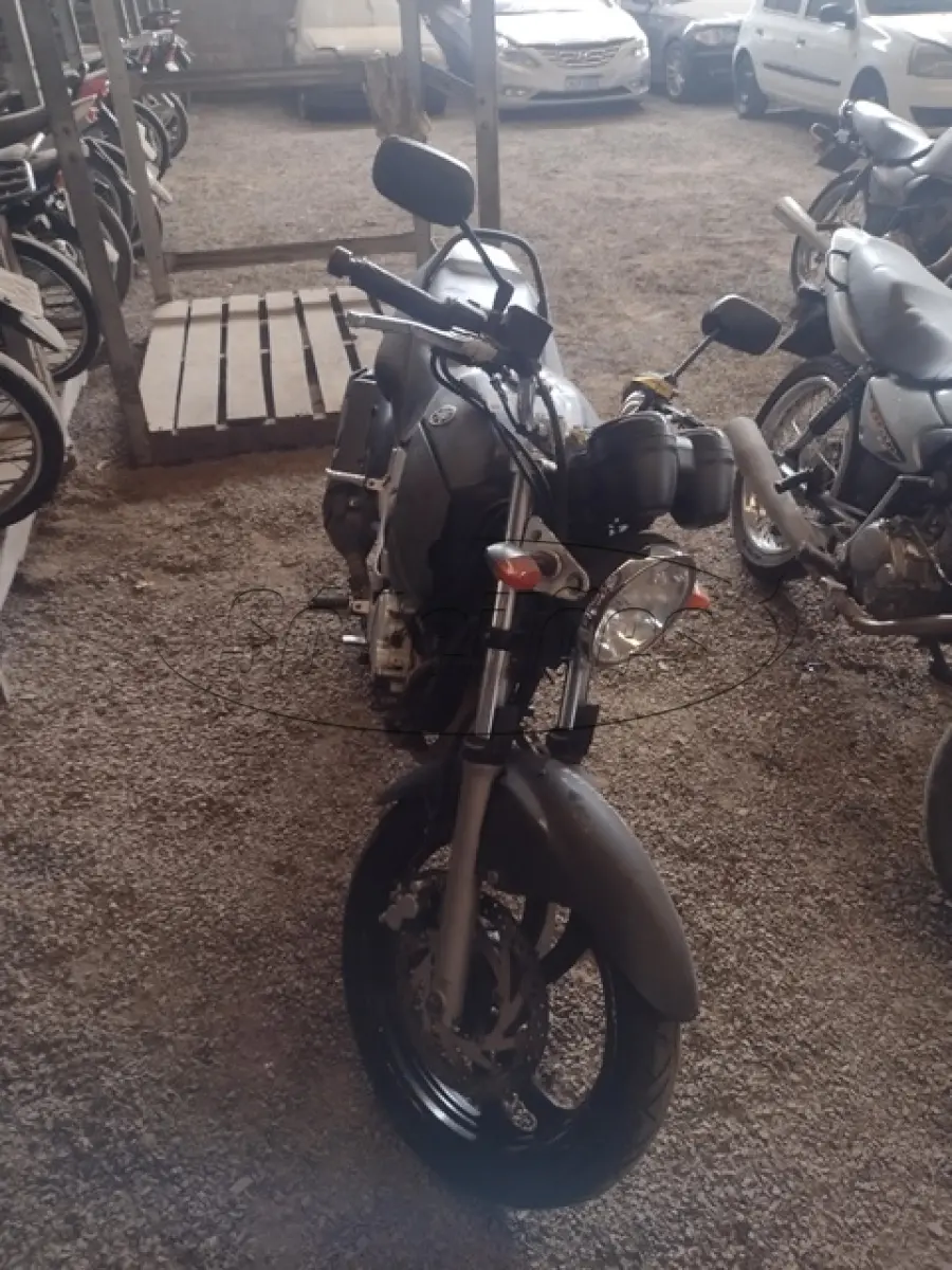 LOTE 29079