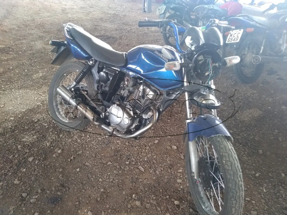 LOTE 29076