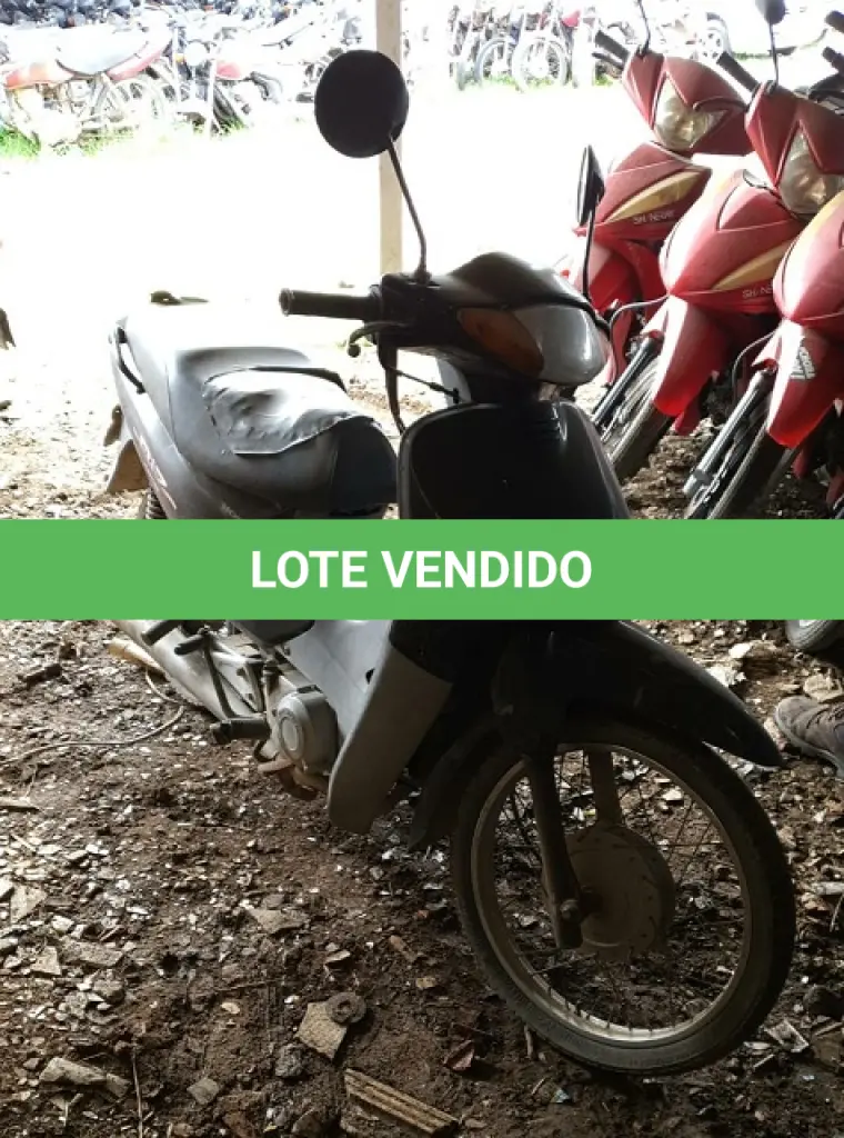 LOTE 29100