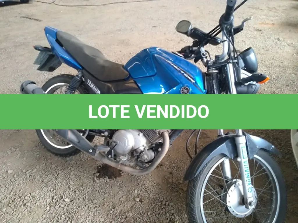 LOTE 29091