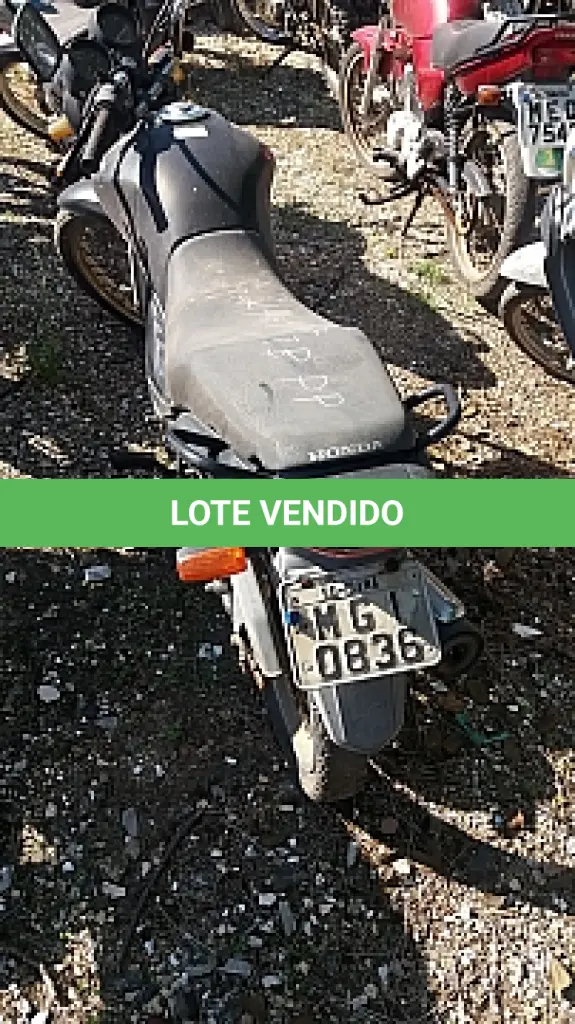 LOTE 29098