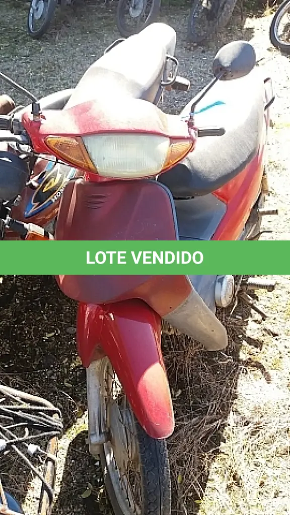 LOTE 29104