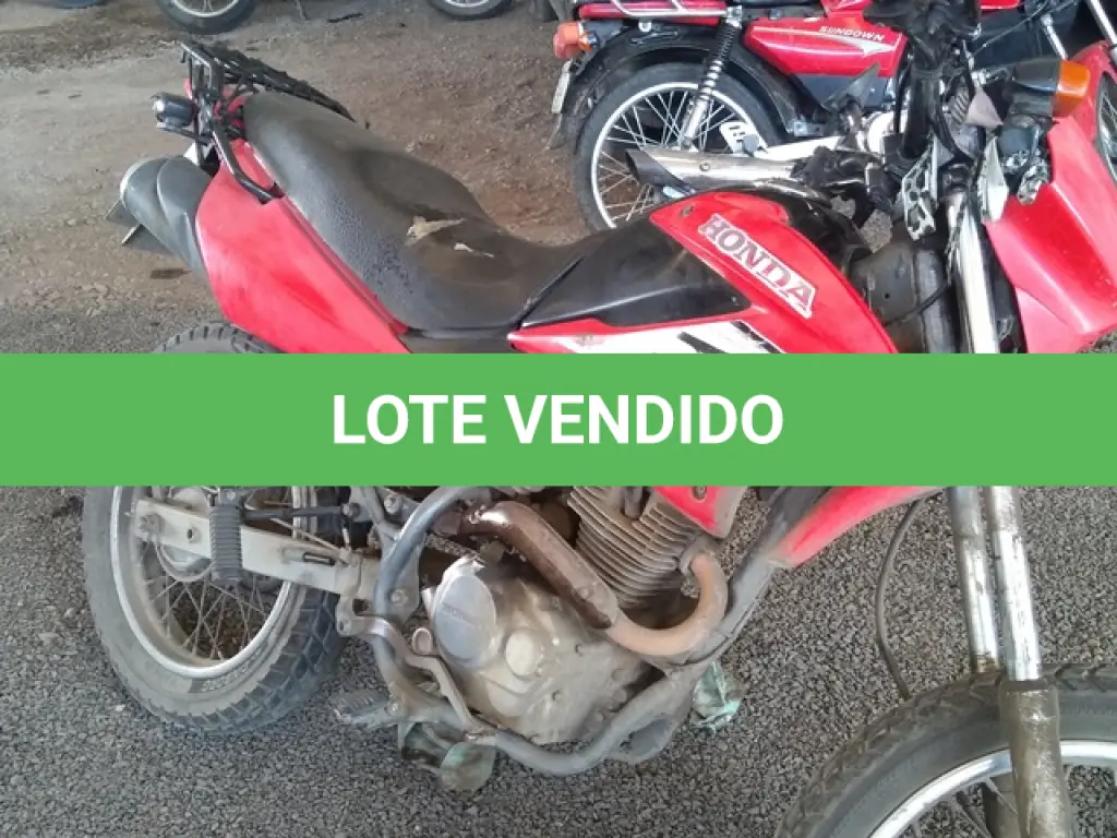 LOTE 29090