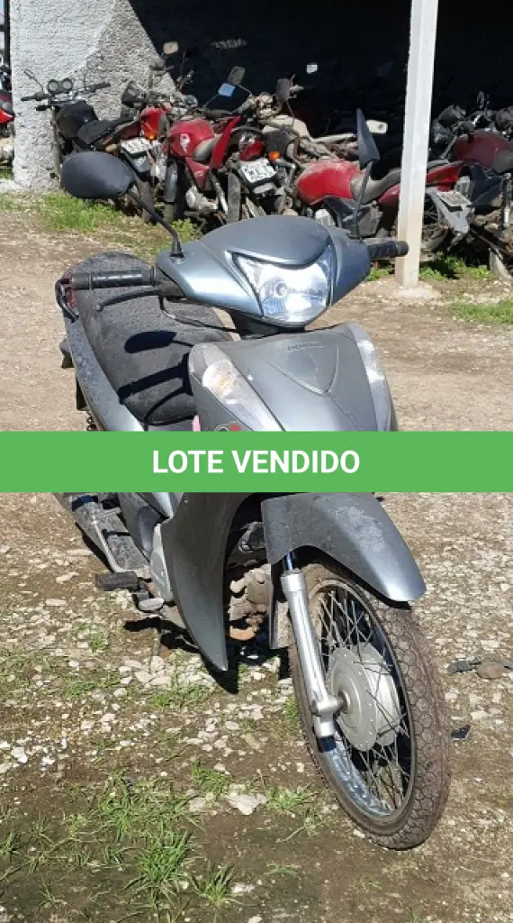 LOTE 29092