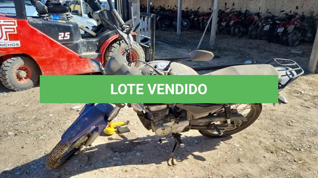 LOTE 29097