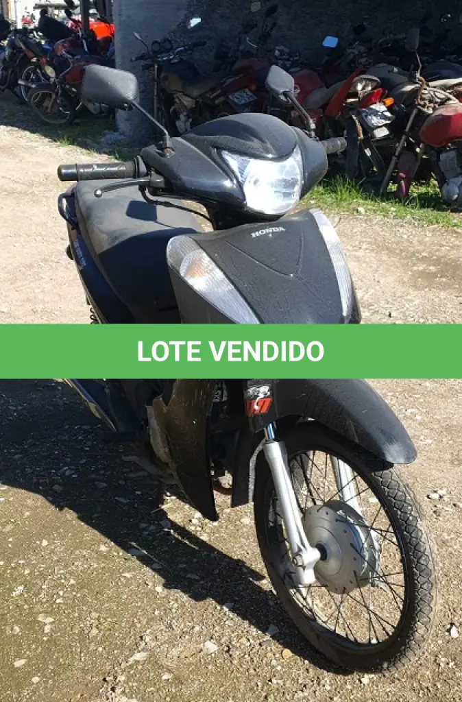 LOTE 29108