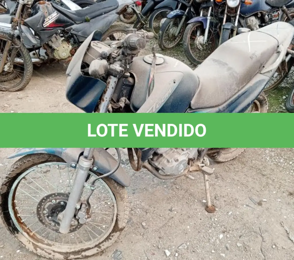 LOTE 29099