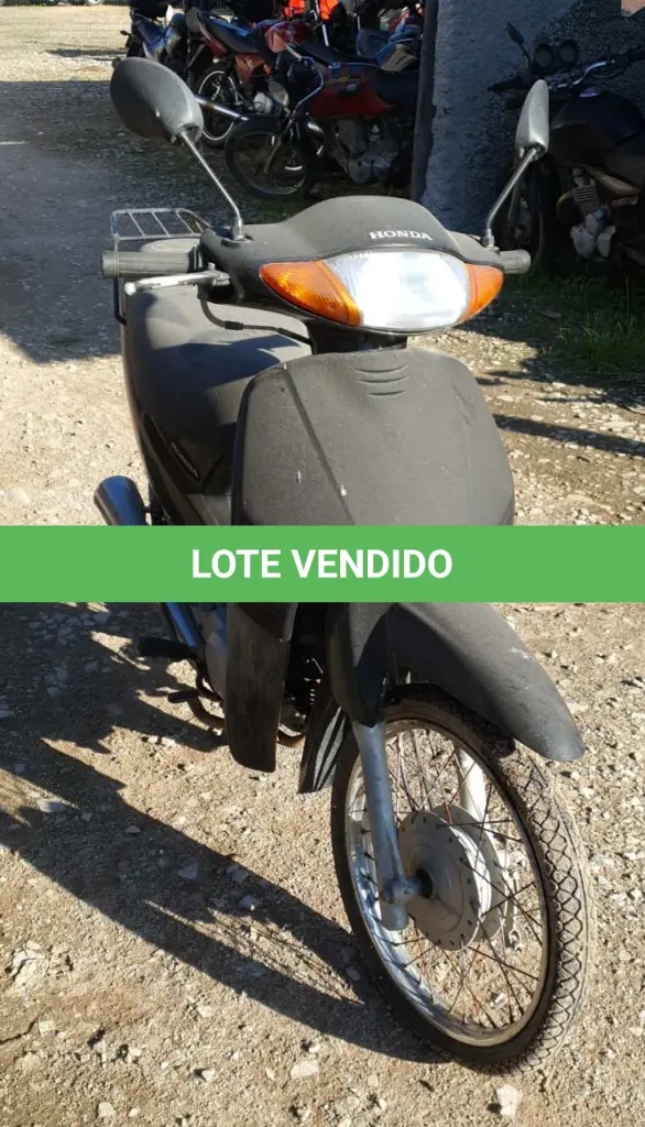 LOTE 29102