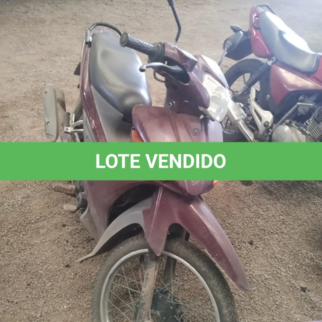 LOTE 29077