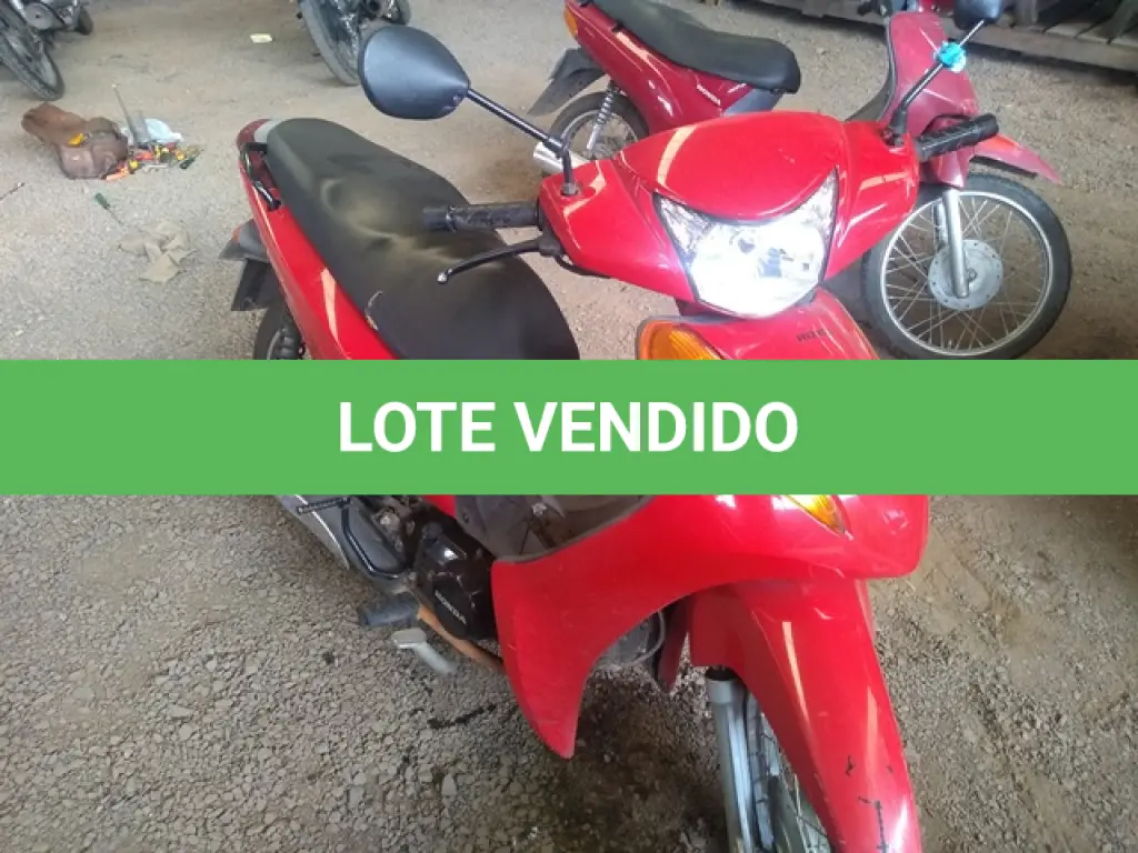 LOTE 29088