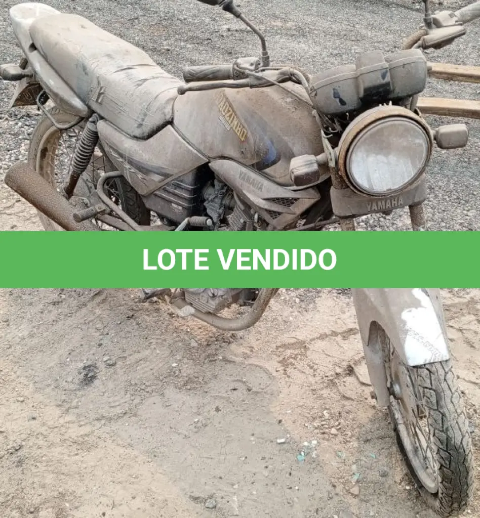 LOTE 29095