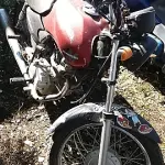Foto 1