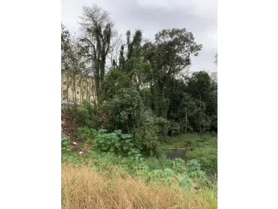 LOTE 001 - TERRENO EDIFICADO