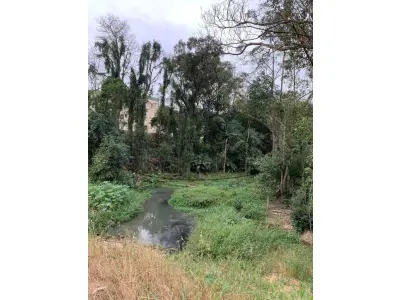 LOTE 001 - TERRENO EDIFICADO